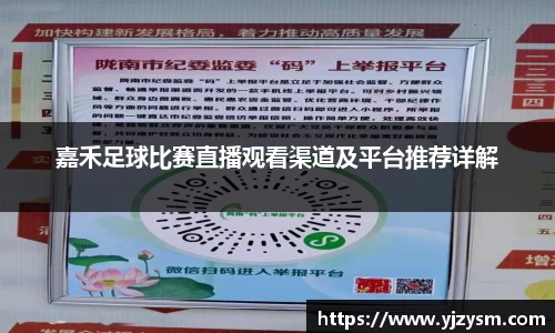 嘉禾足球比赛直播观看渠道及平台推荐详解
