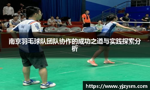 南京羽毛球队团队协作的成功之道与实践探索分析